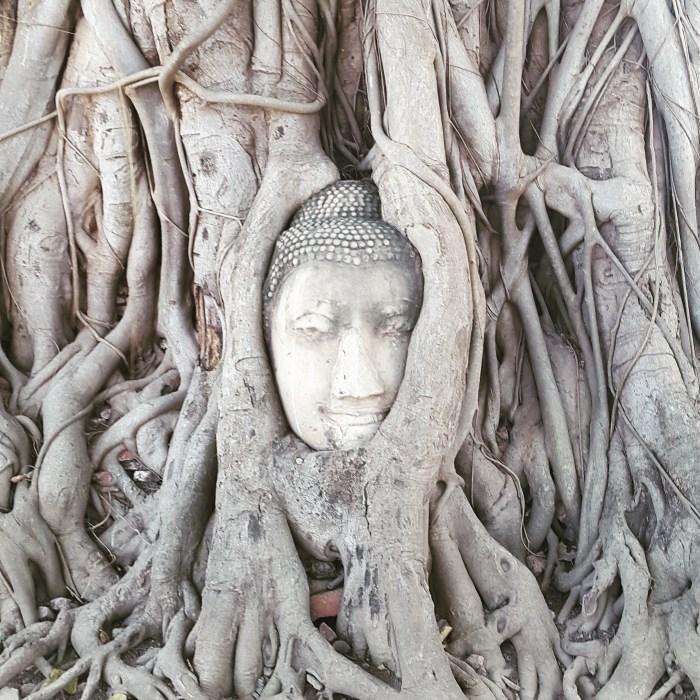 img_20170124_140358_1111