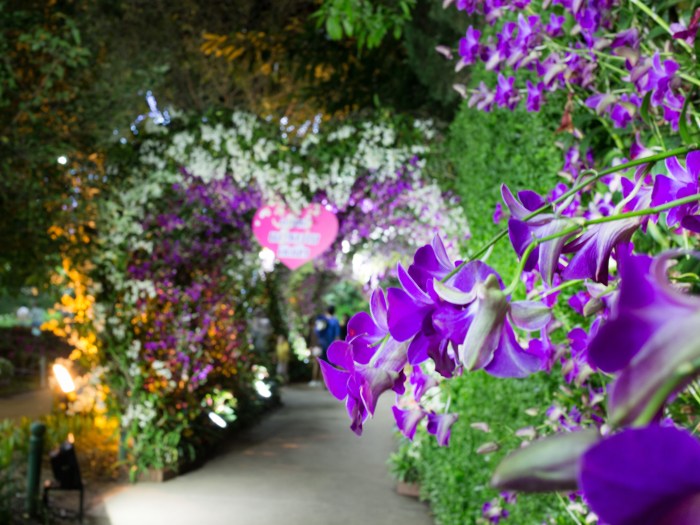 Chiang Rai Thaïlande