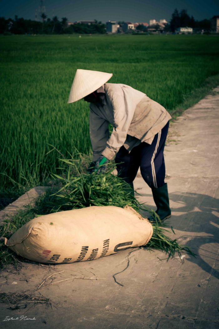 Hoï An Vietnam (18)