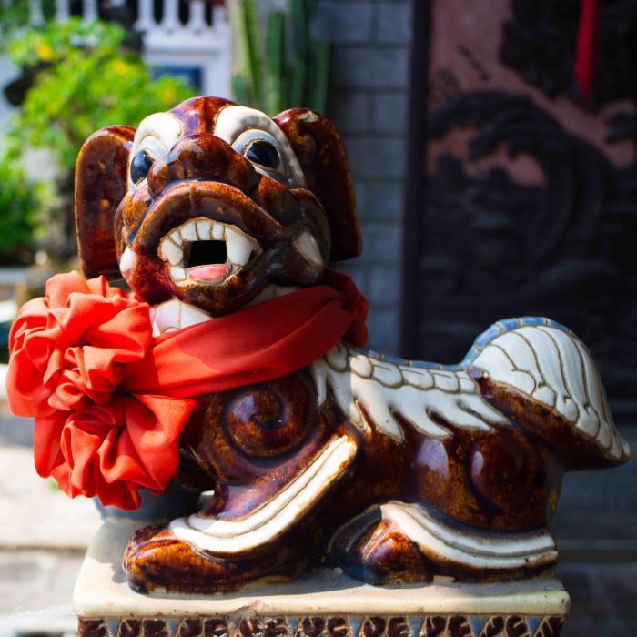 Hoï An Vietnam (25)