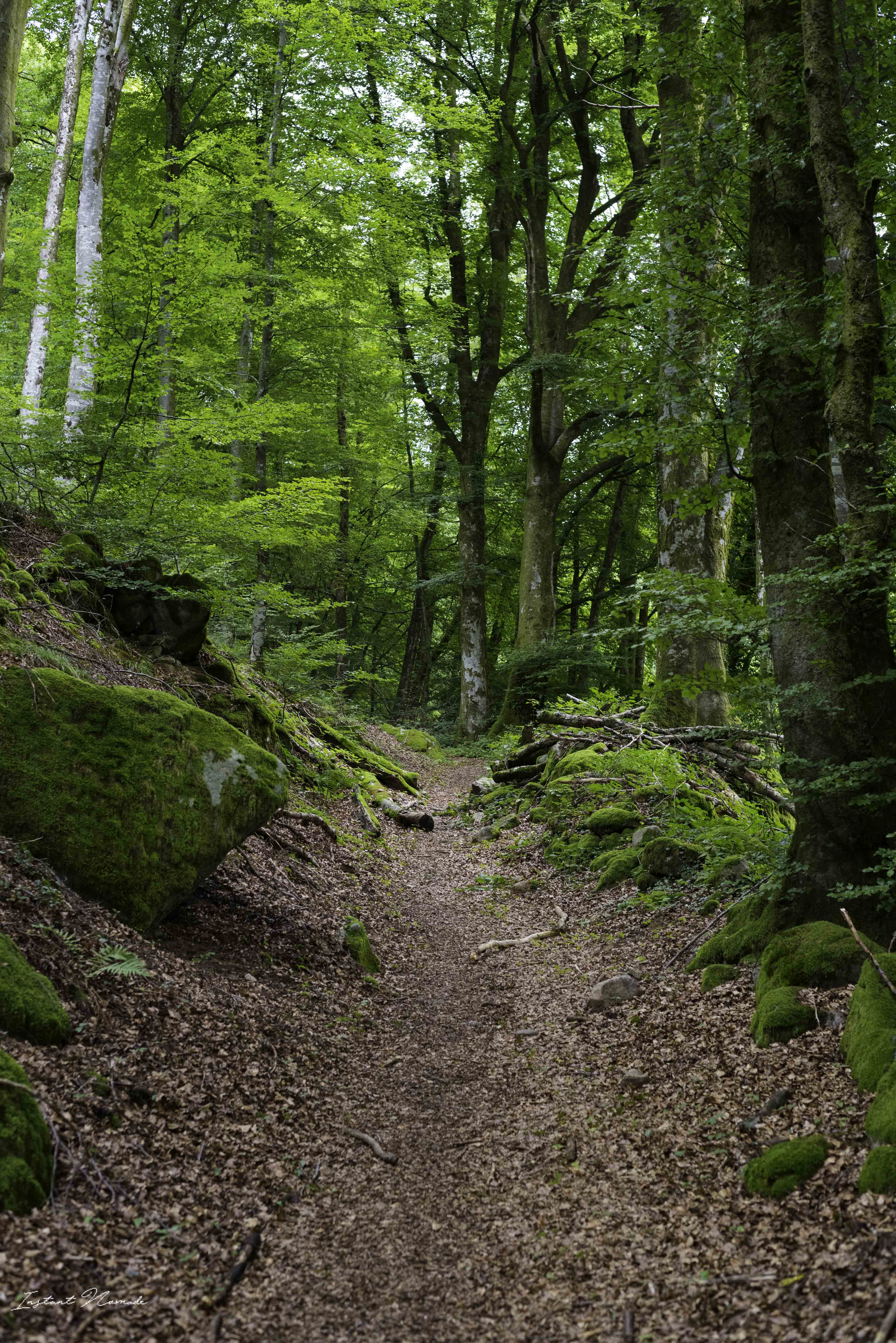 randonnée saint bresson vosges sud