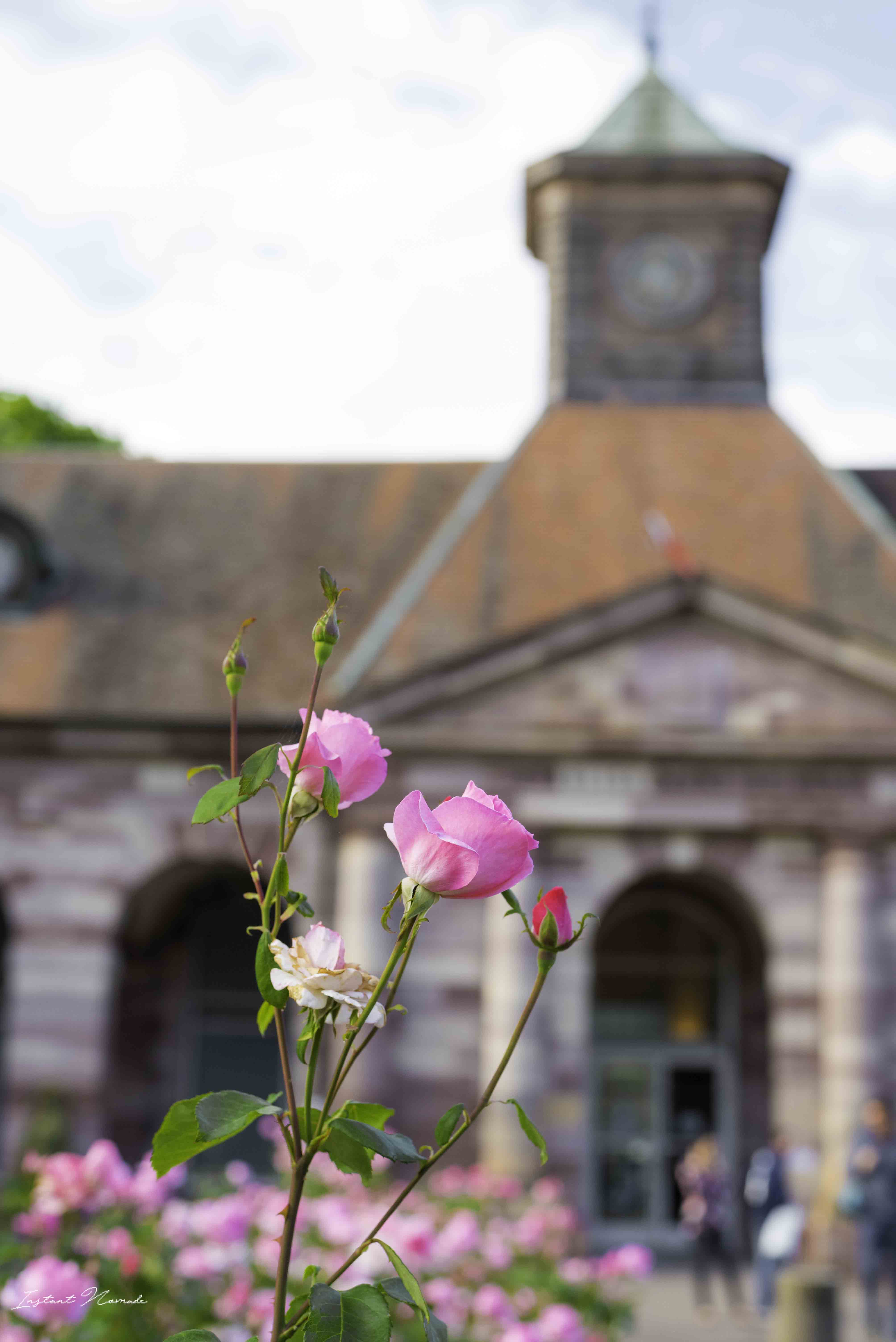 thermes luxeuil les bains vosges du sud