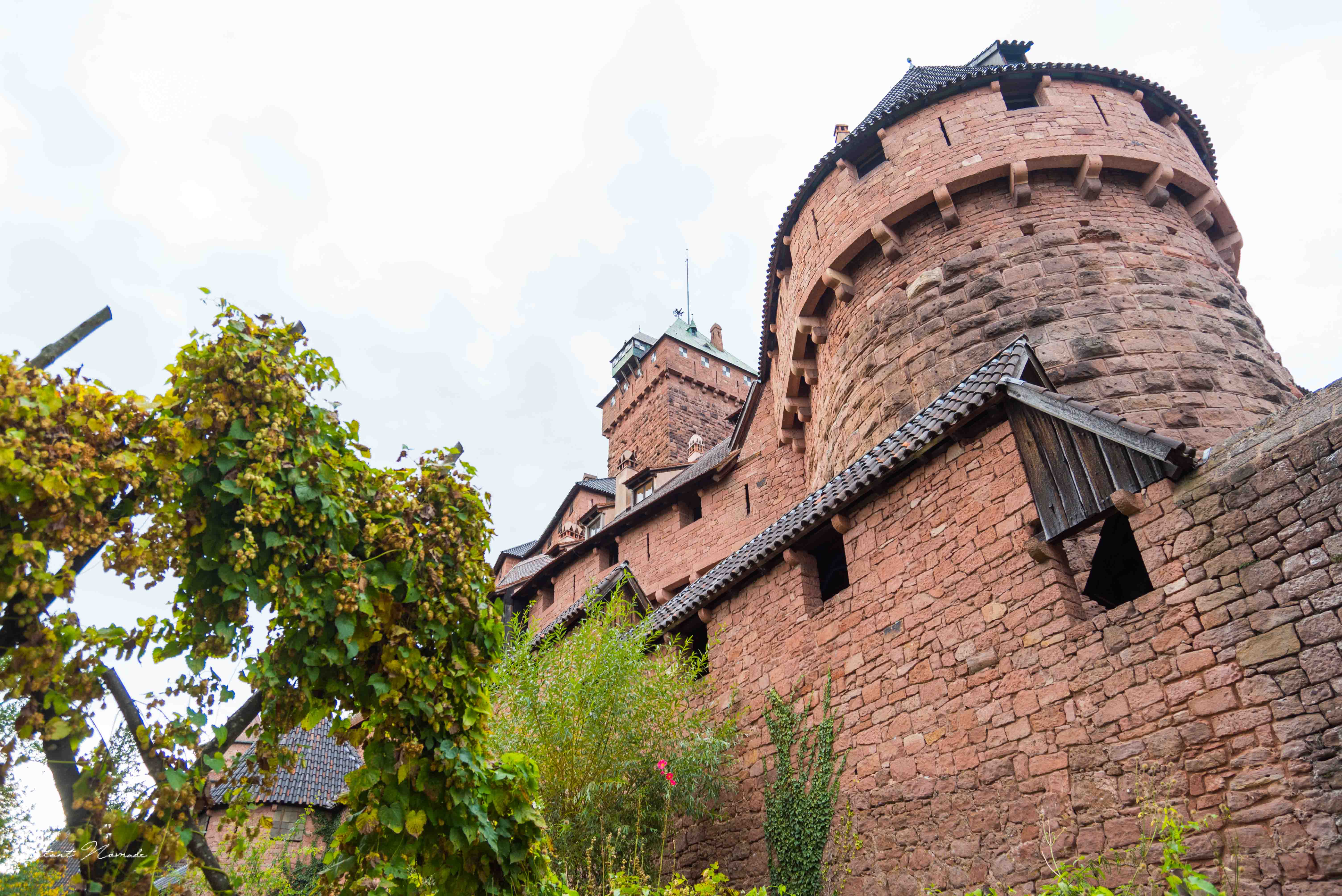 haut koenigsbourg chateau alsace