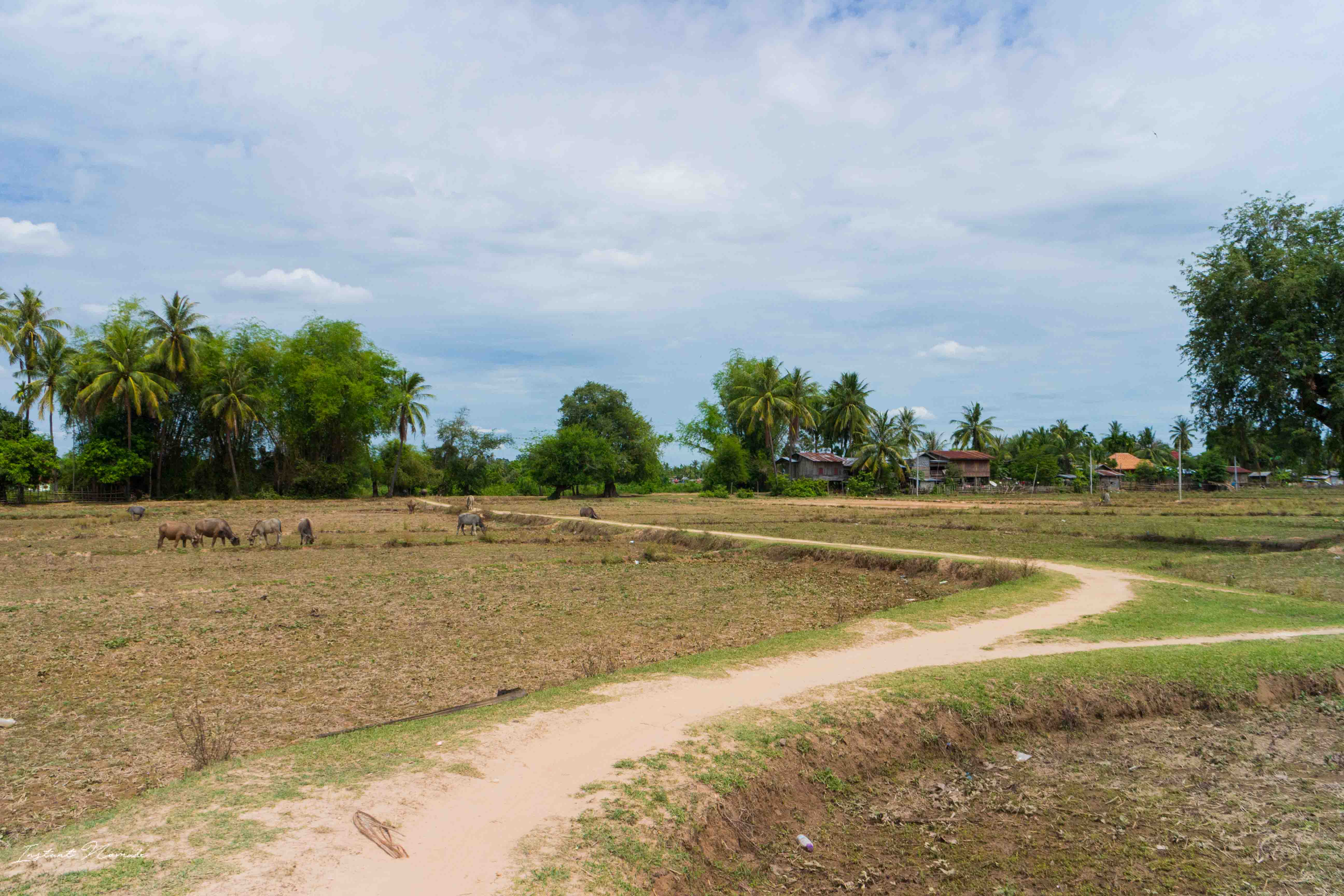 paysage don khone laos