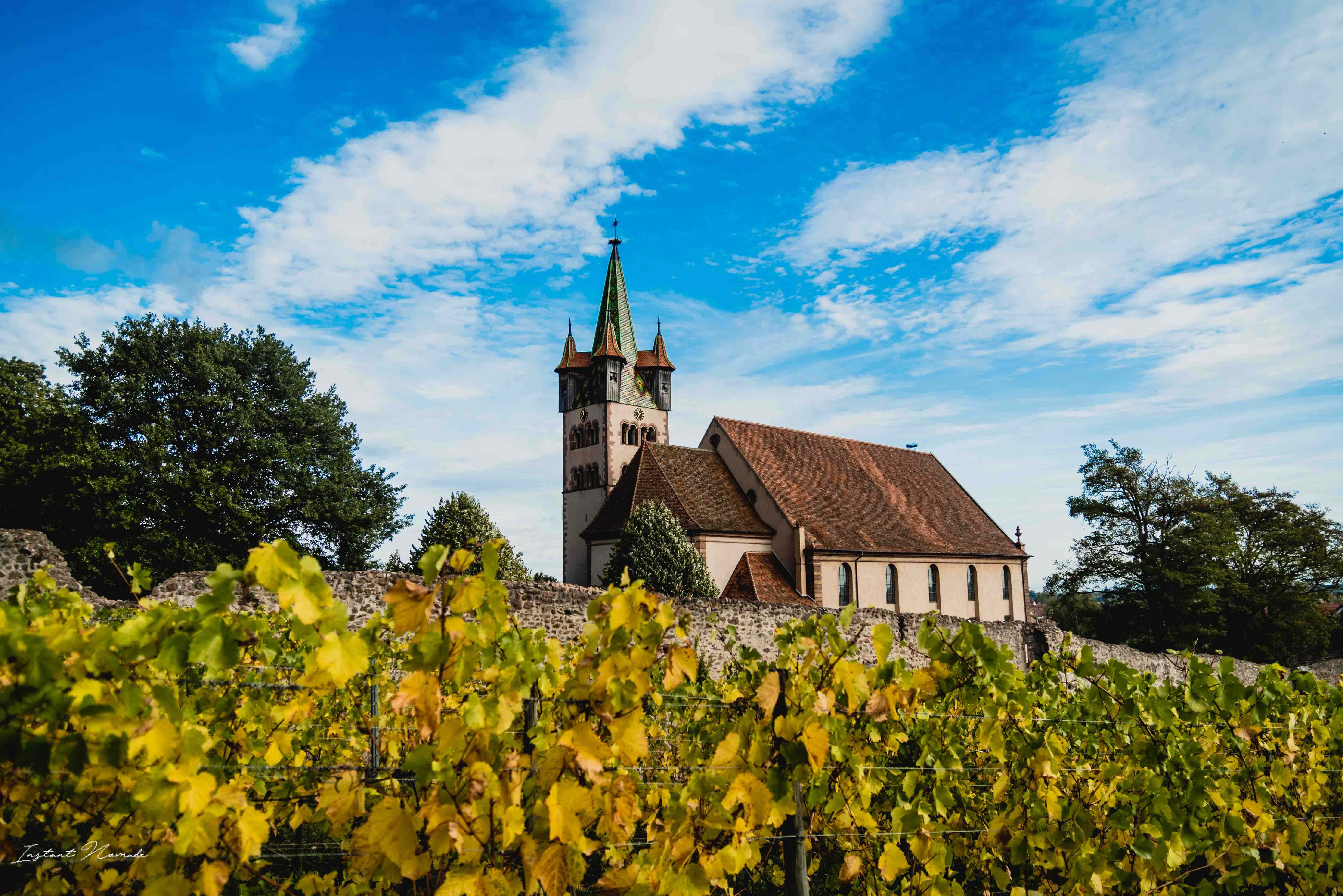 vignes eglise chatenois alsace