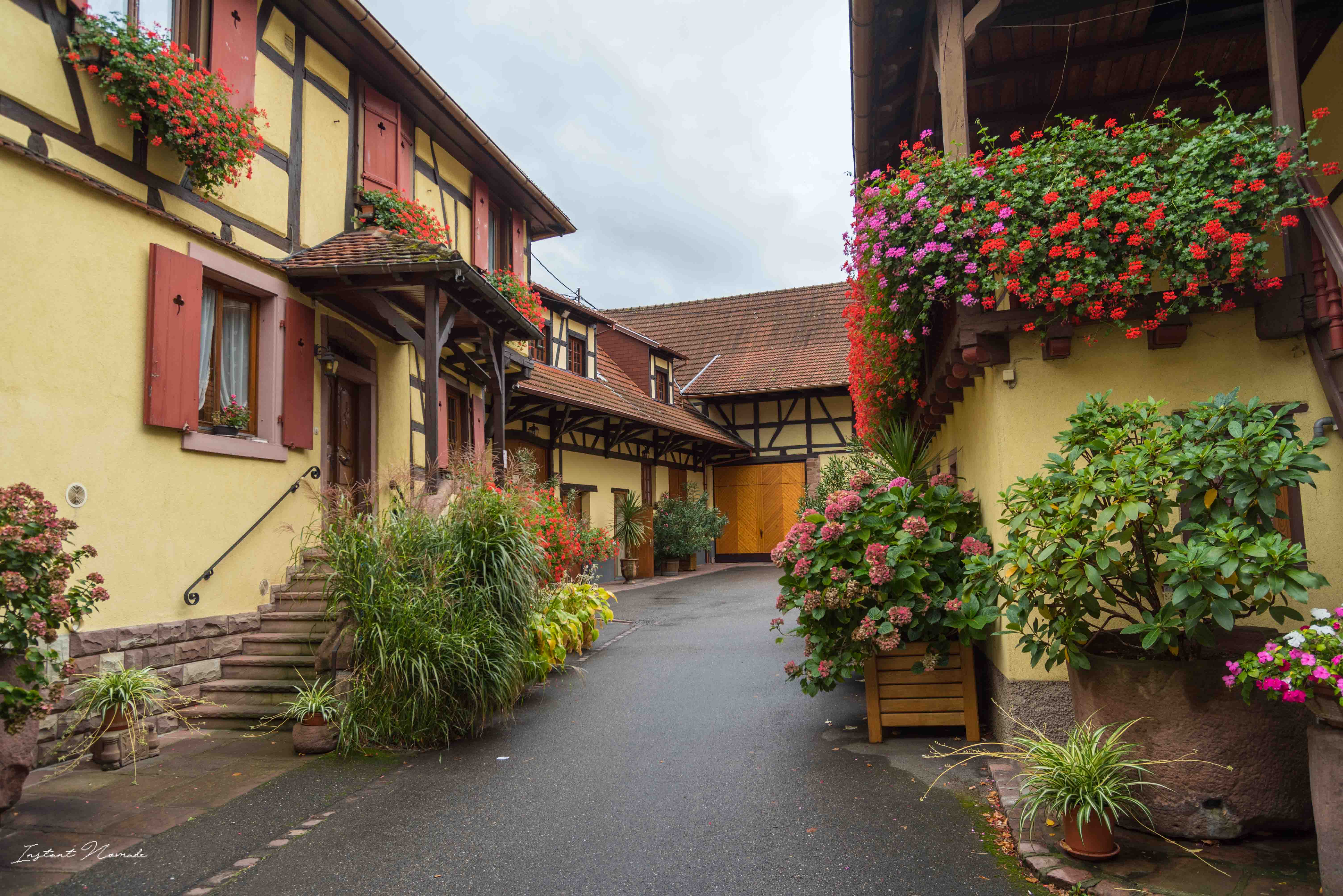 village scherwiller alsace