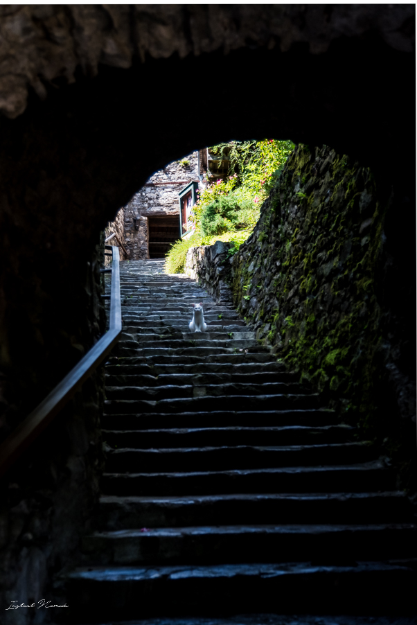 escalier friesach autriche