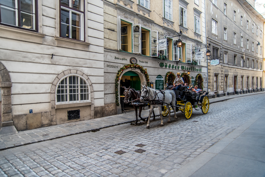caleche_rue_vienne