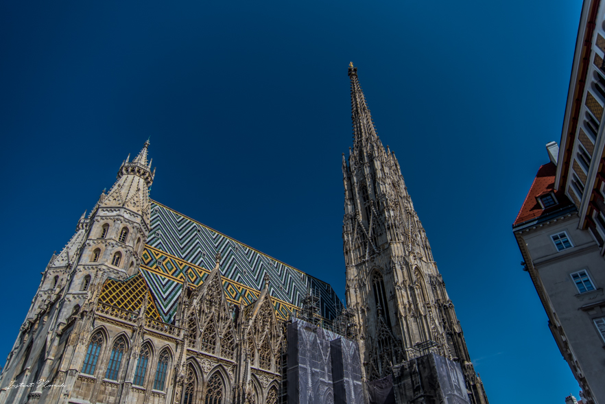 stephansdom_cathedrale_vienne