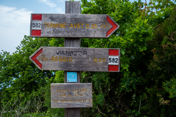 chemin randonnée cinque terre