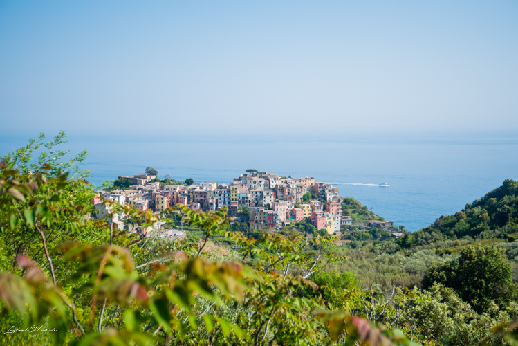 sentier corniglia cinque terre