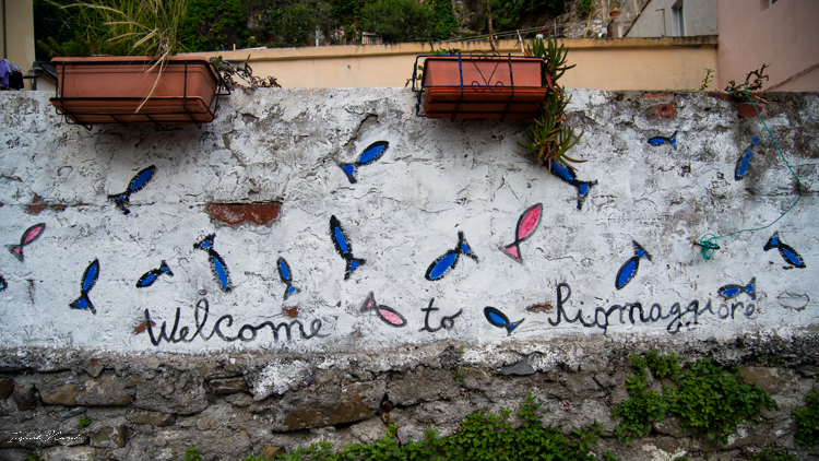 street art riomaggiore cinque terre