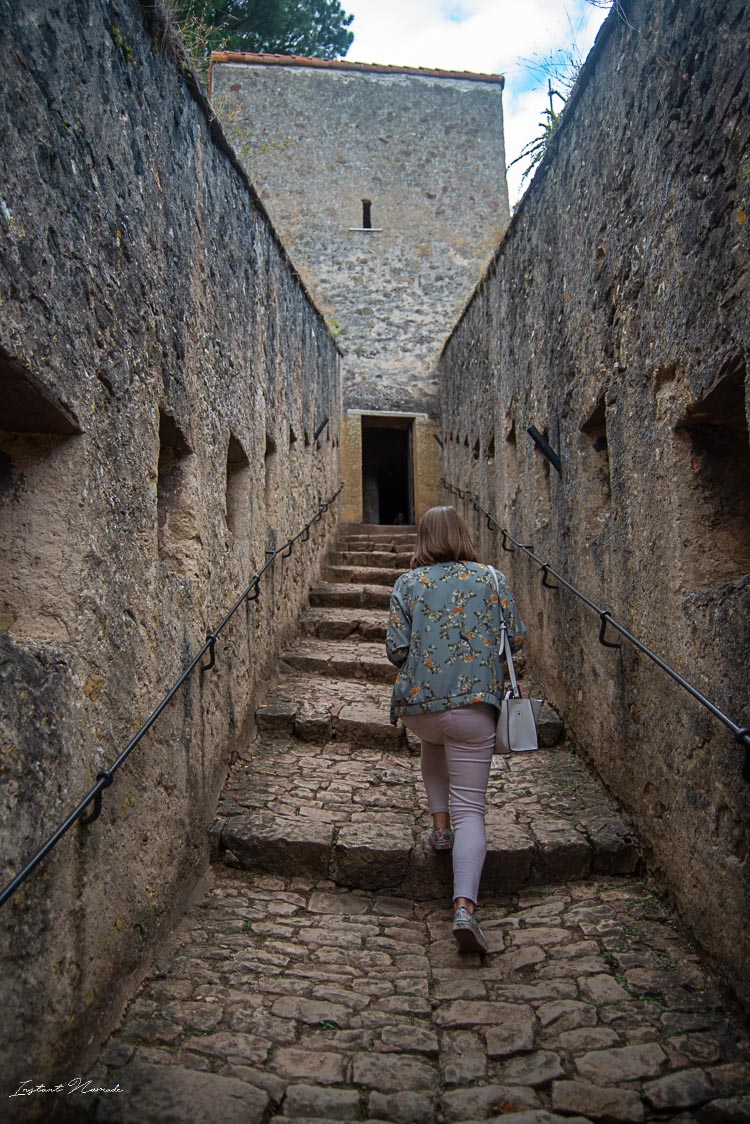 chateau ducs de lorraine