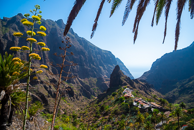 masca tenerife