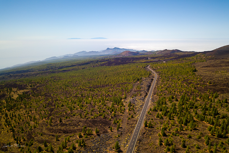 parc teide tenerife