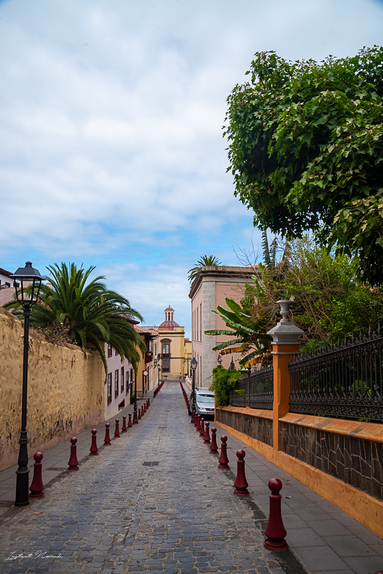 ruelle la orotava tenerife