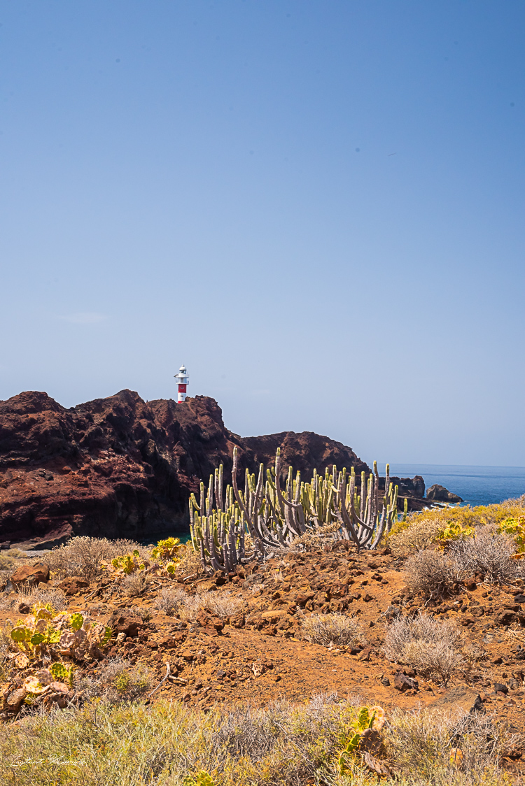 vue phare teno tenerife