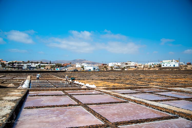 fuerteventura_musee_du_sel