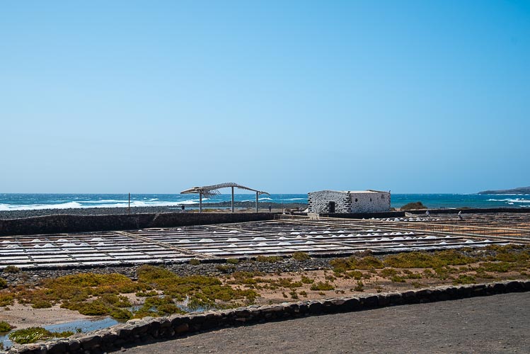 musee-sel_fuerteventura
