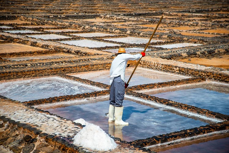 musee_sel_fuerteventura