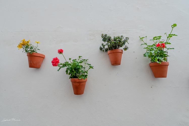 decoration maison seville