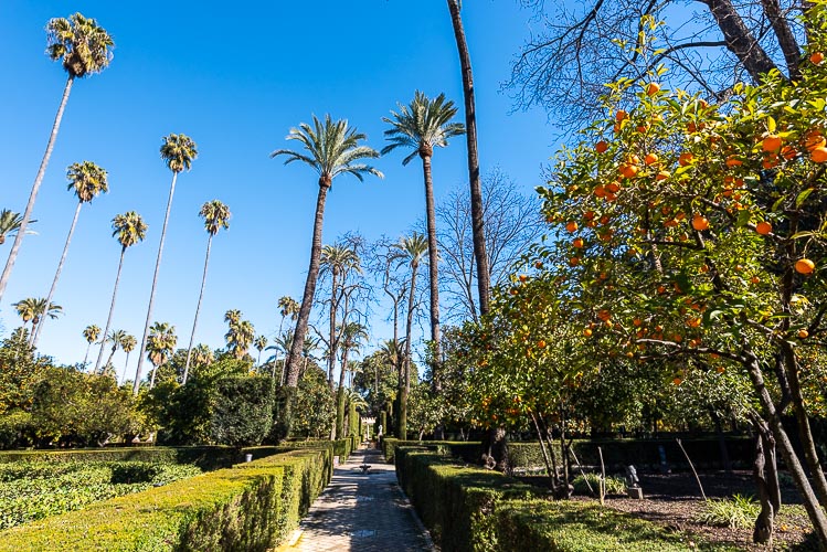jardin alcazar seville