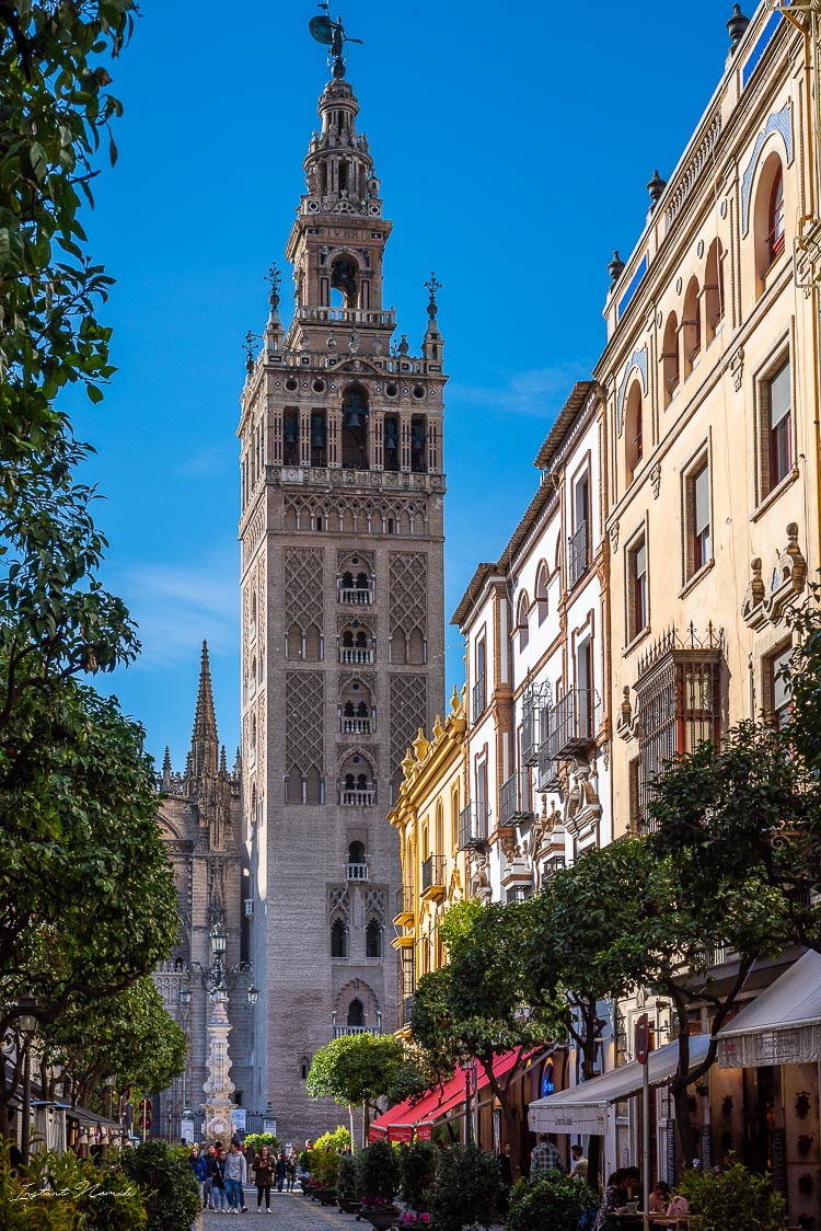 tour cathedrale seville