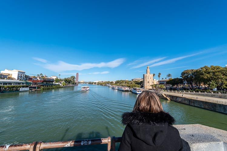 vue torre del orro seville