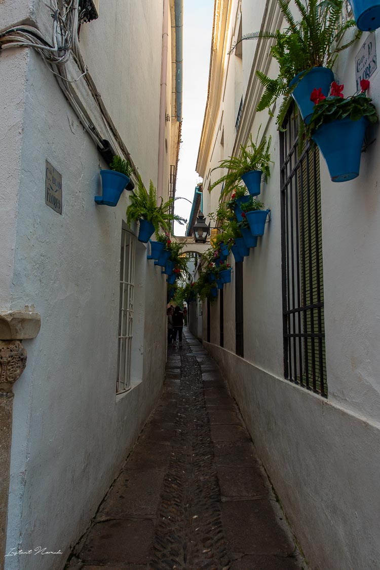 calle de las flores cordoue