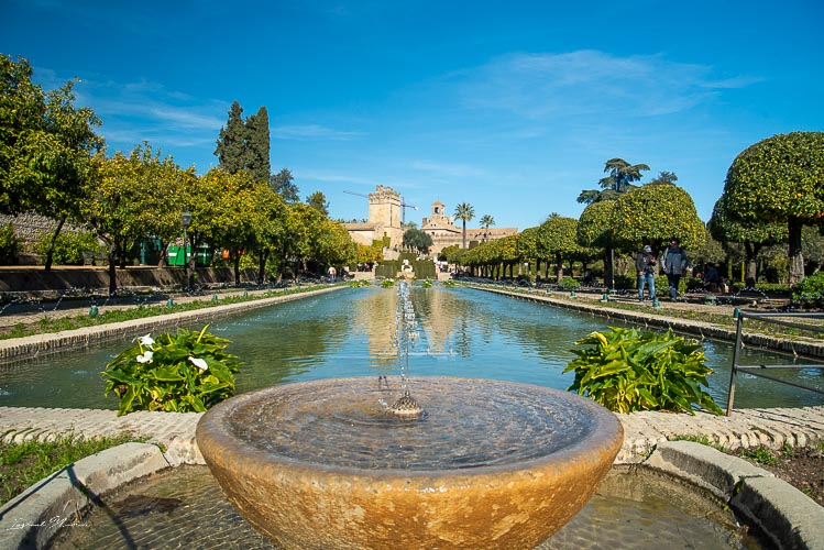 fontaine alcazar cordoue