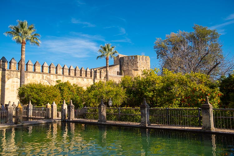 jardins alcazar cordoue