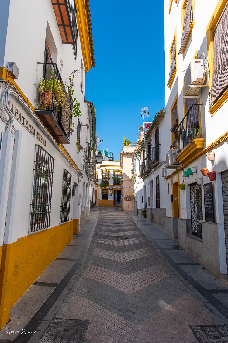 maisons blanches juderia cordoue