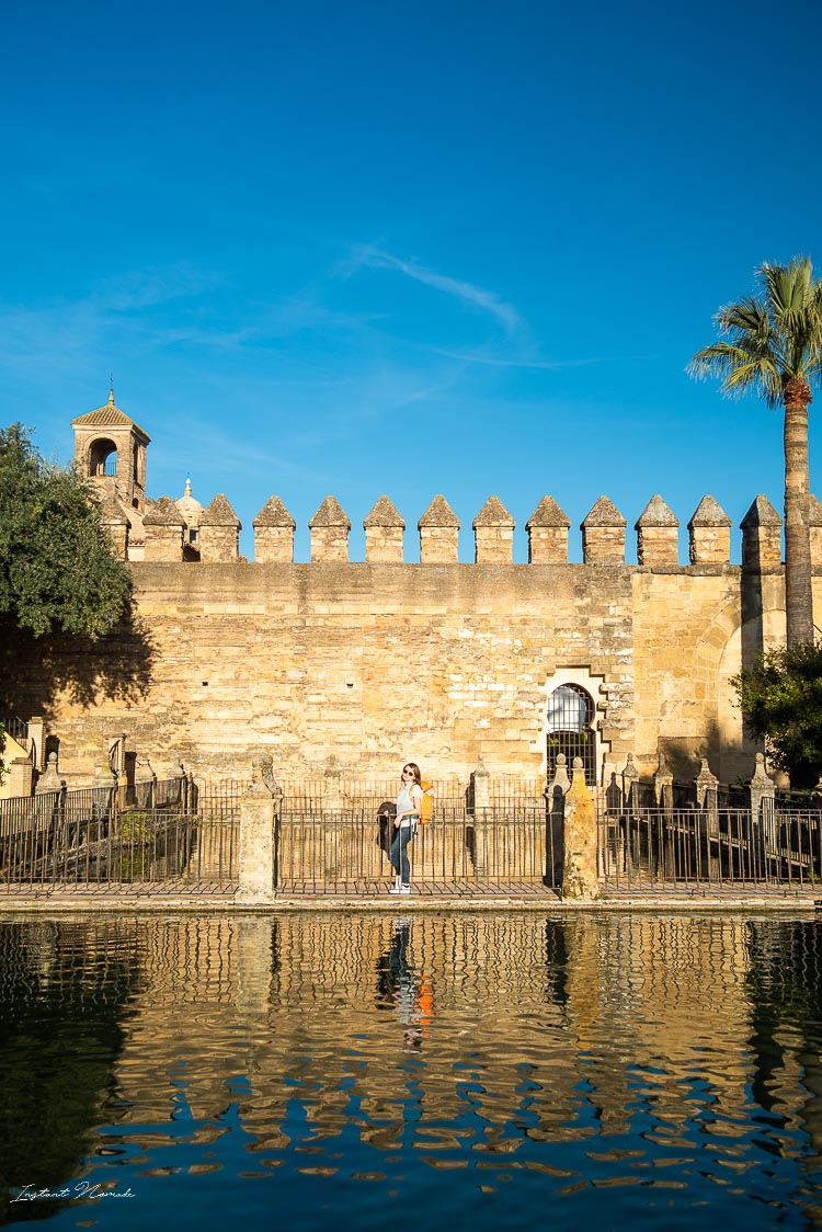 palais royal cordoue andalousie