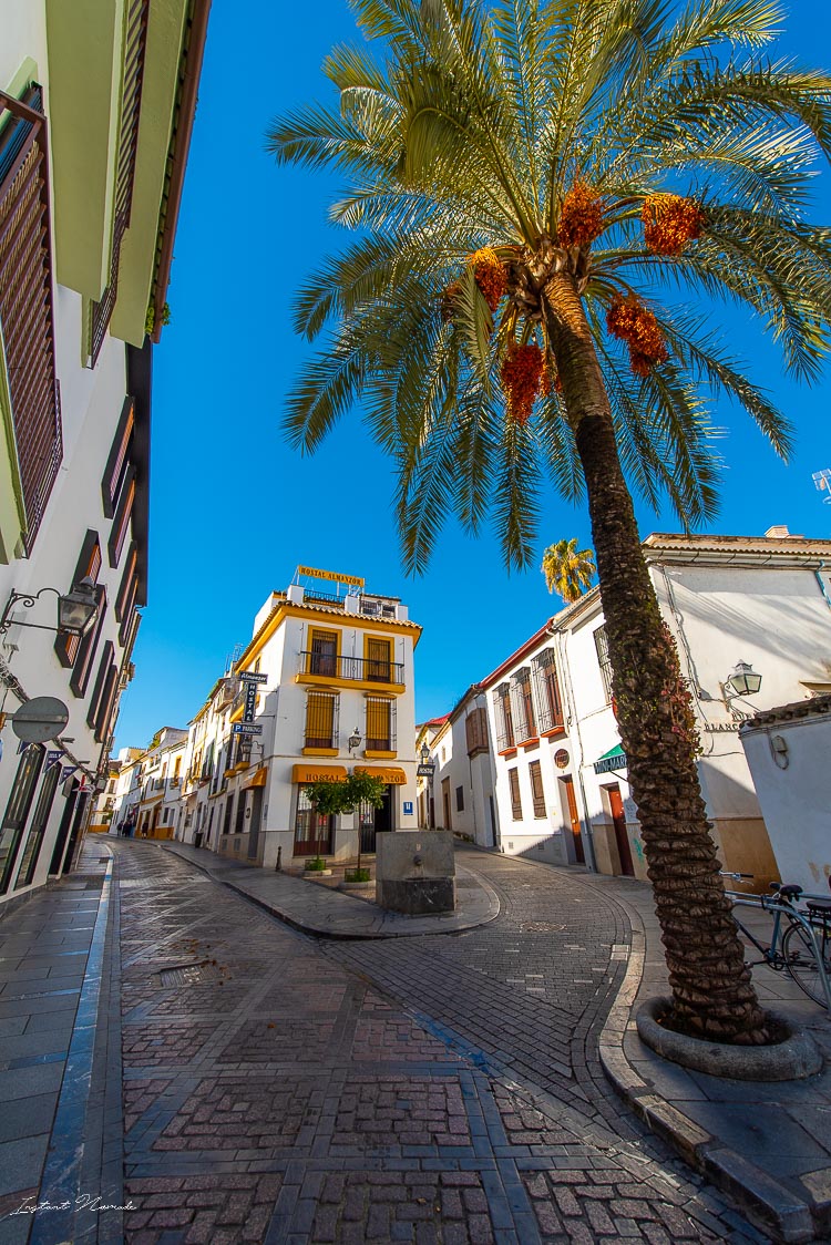 quartier juderia cordoue