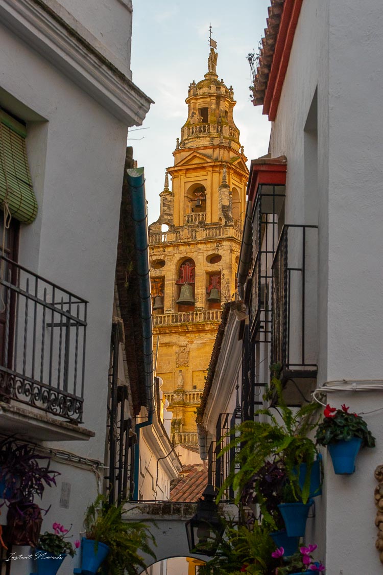 vue cathedrale calle de las flores
