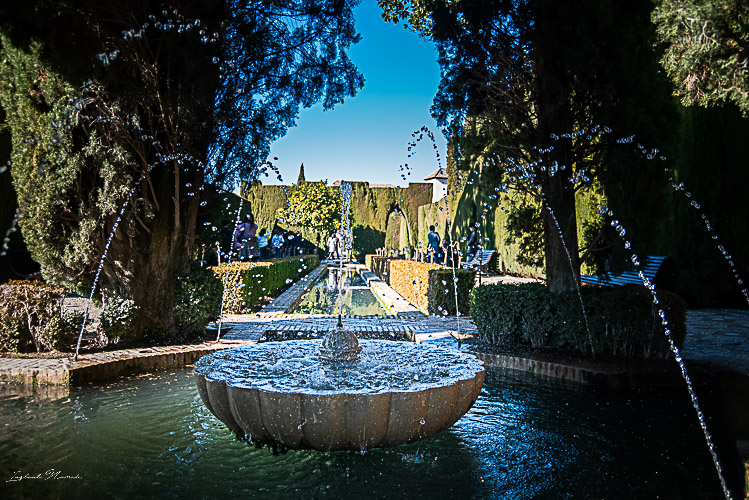 jardins alhambra grenade