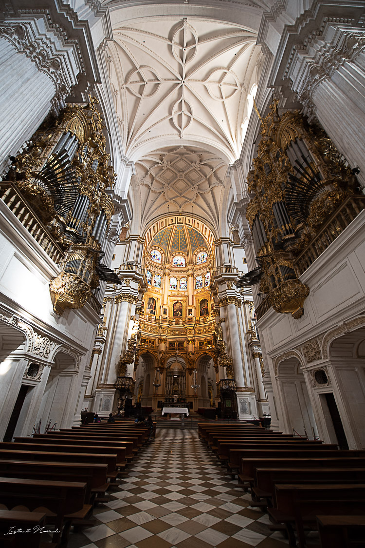 nef cathedrale grenade