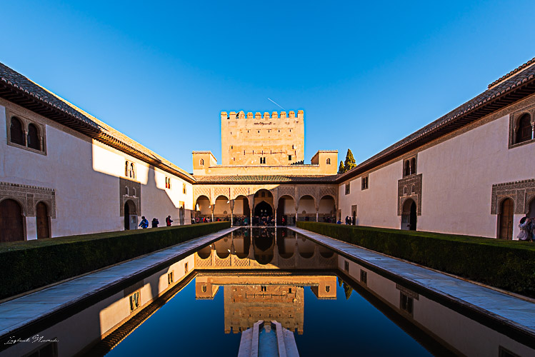 patio palais nasrides grenade