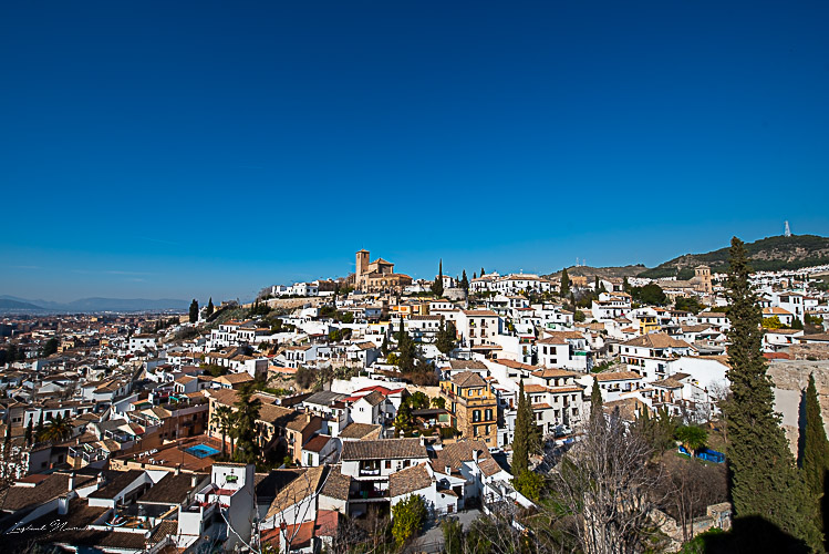 vue palacio dar al horra
