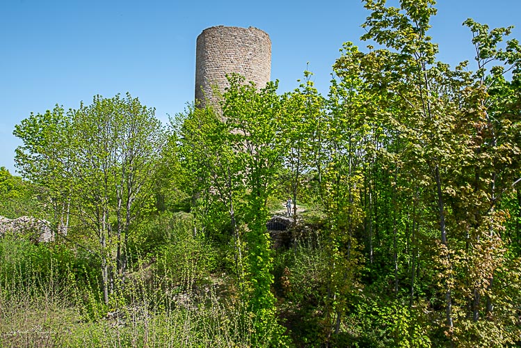 ruines chateau pflixbourg