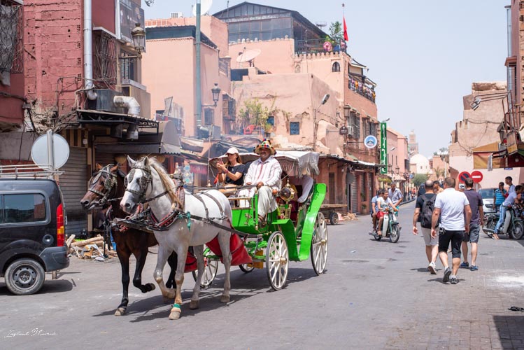 balade caleche marrakech