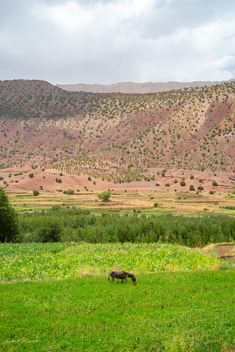 champ vallee ait bouguemez