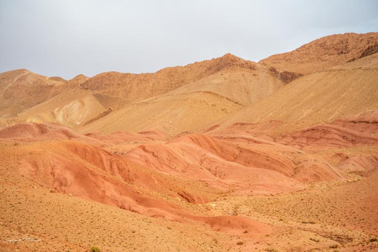 paysage vallée des roses