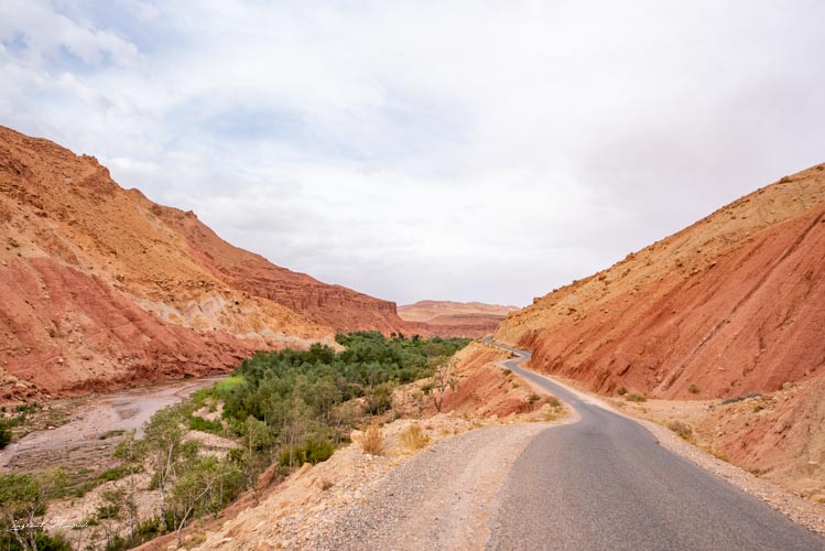 vallée des roses maroc