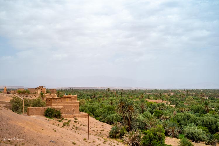 vue palmeraie skoura