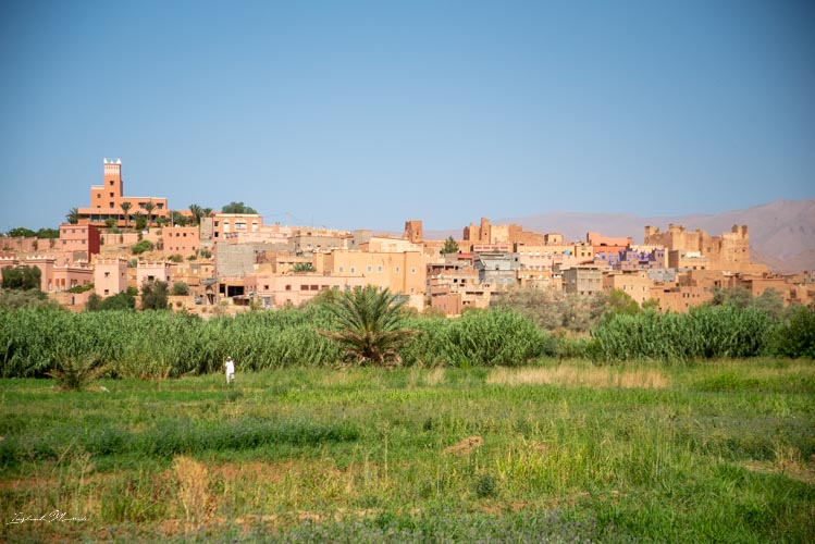 balade palmeraie tinghir