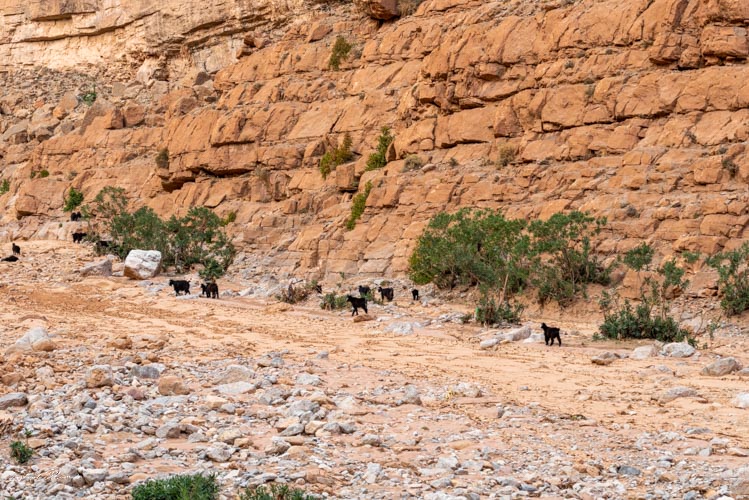 berger gorges todra maroc