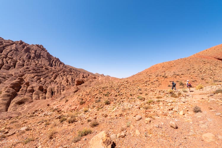 doigts de singe gorges dadès maroc