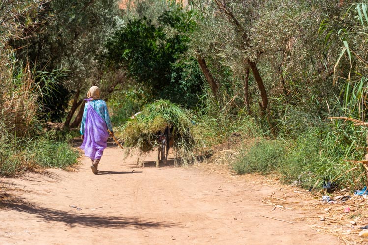 femme palmeraie tinghir