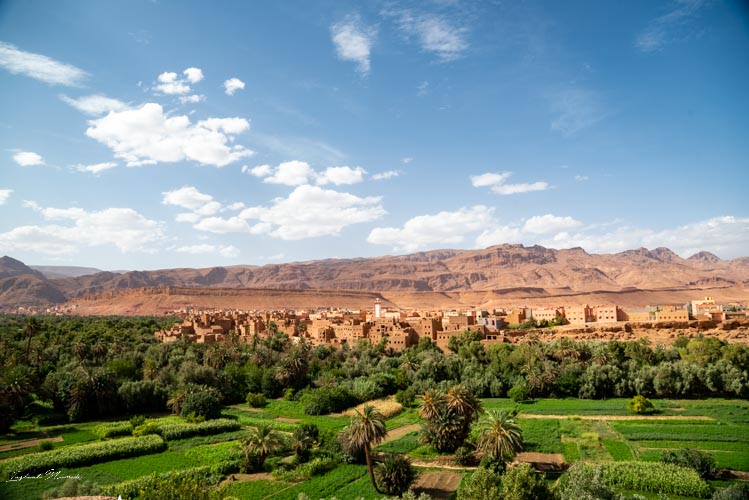 palmeraie tinghir maroc